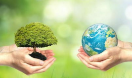 环保视频,环保视频揭示生态平衡之道